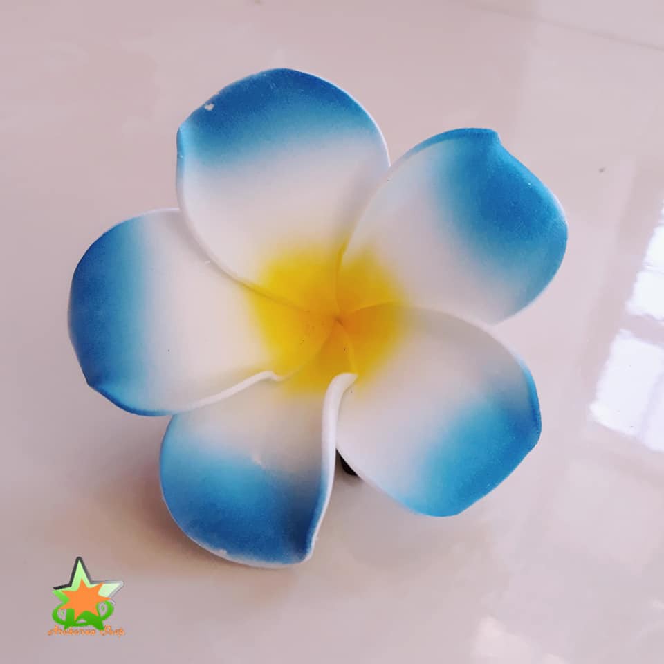 Hoa Đại Cài Tóc Đi Biển Siêu Hot