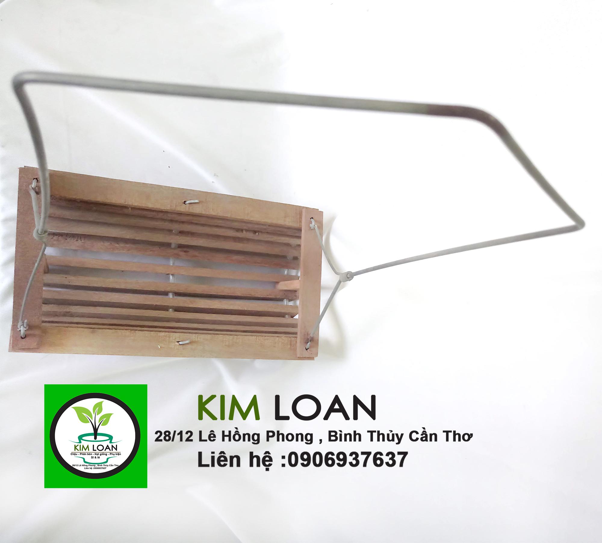 Chậu lan gỗ xích đu 27x16x8cm