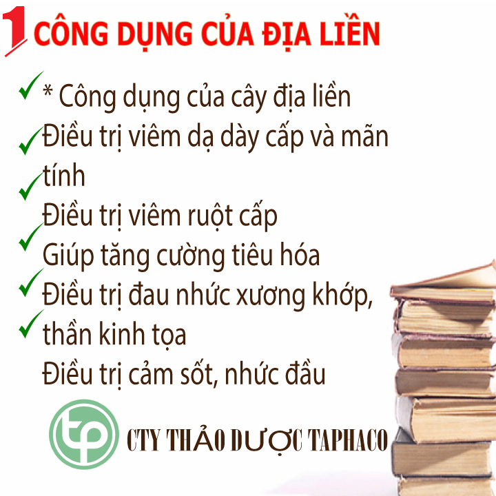 [Hàng mới về] Củ địa liền khô 500g - tấn phát - tốt cho người bệnh tiểu đường