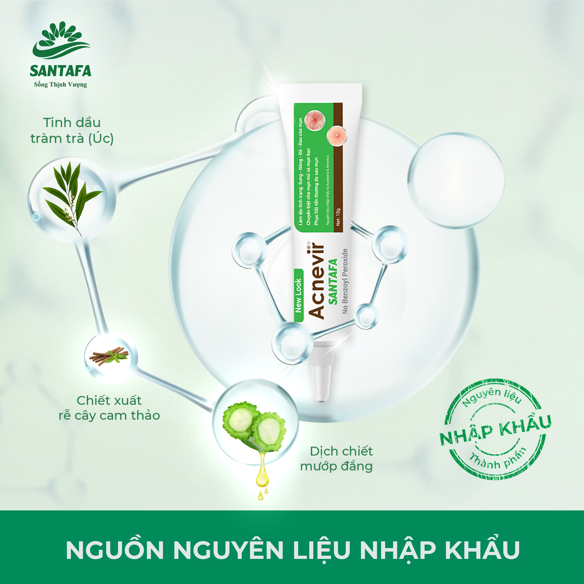 Combo Giảm Mụn Bọc, Mụn Mủ, Mụn Trứng Cá Acnevir Santafa (Sữa Rửa Mặt 100gr Và Tuýp Kem Ngừa Mụn 10gr)