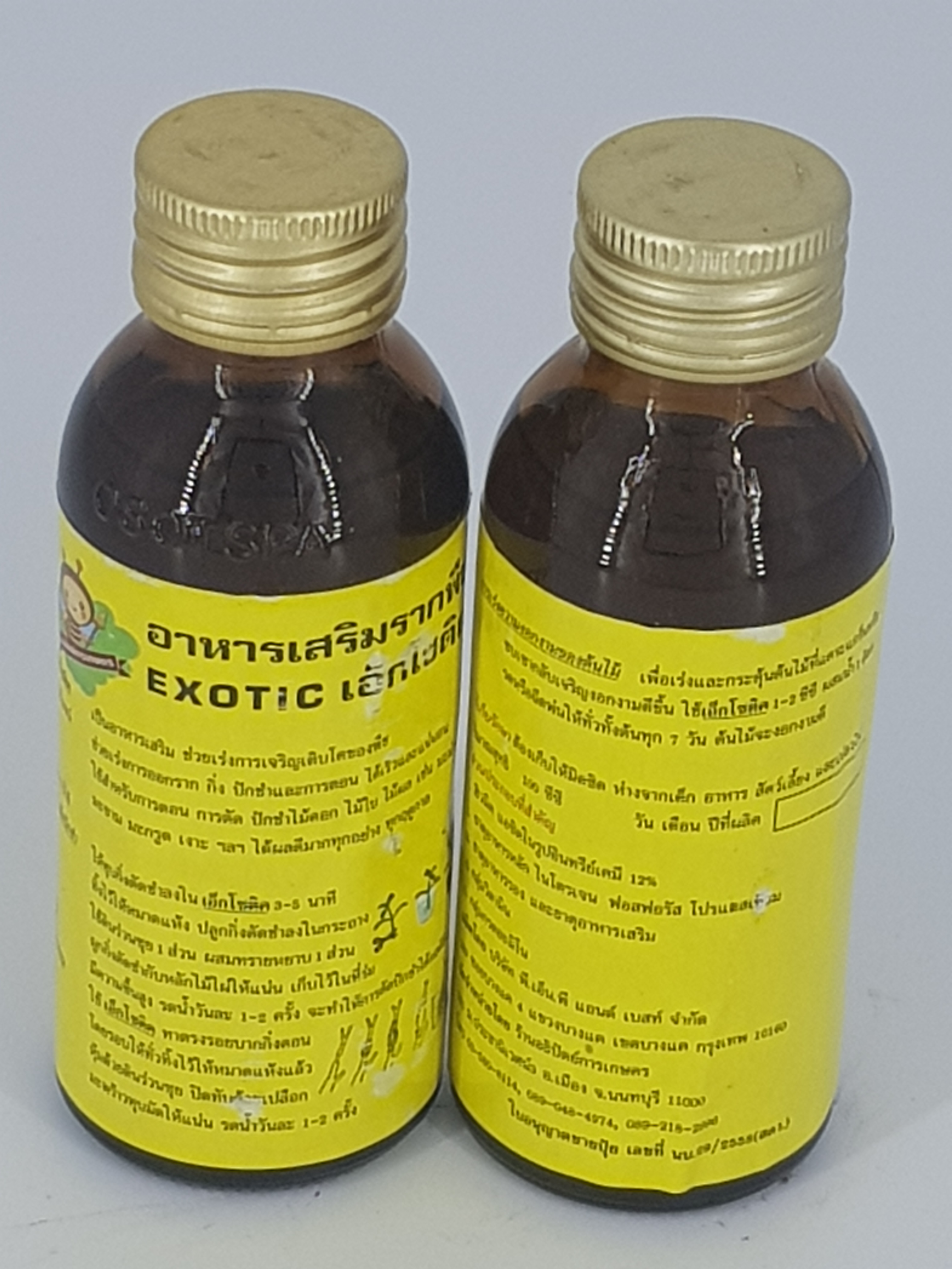 Kích rễ Exotic Thái Lan