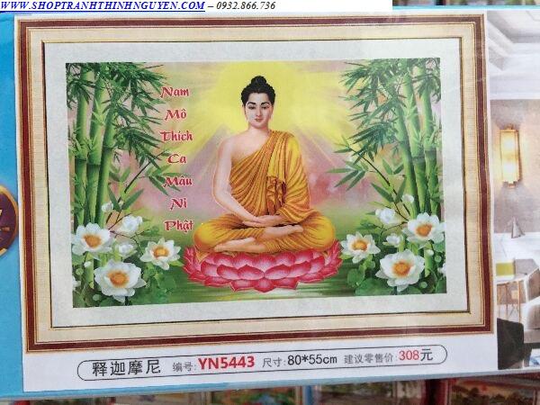 Tranh đính đá phật thích ca -yn5443