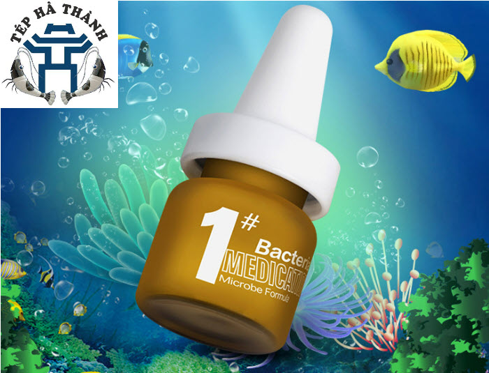 Biozym bacteria control - dung dịch xử lý nấm cá, an toàn cho hệ vi sinh của bể cá cảnh, bể thủy sinh