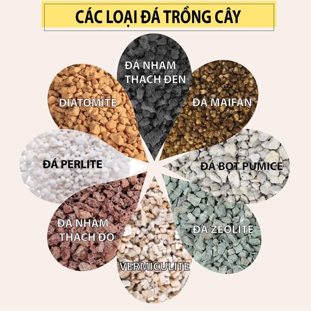 Giá thể đá trồng sen đá xương rồng pumice, perlite, nham thạch, vermiculite, Zeolite..... gói 1kg