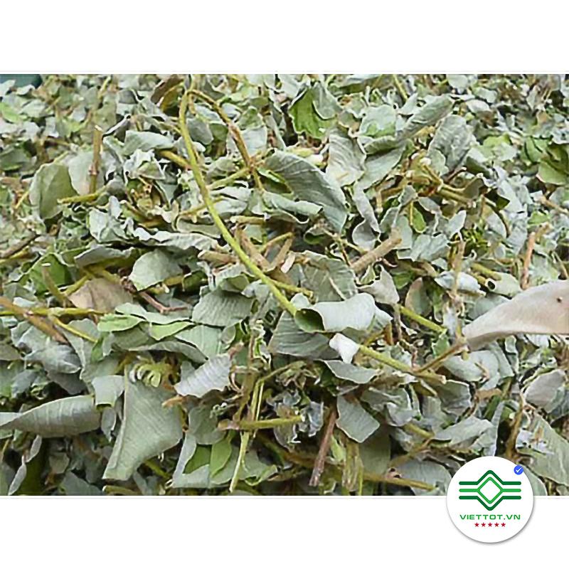 Kim Tiền Thảo 1Kg VT006