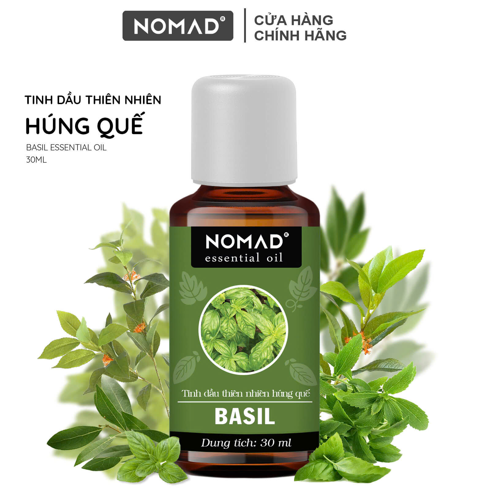 Tinh Dầu Húng Quế Nguyên Chất Nomad Essential Oils Basil