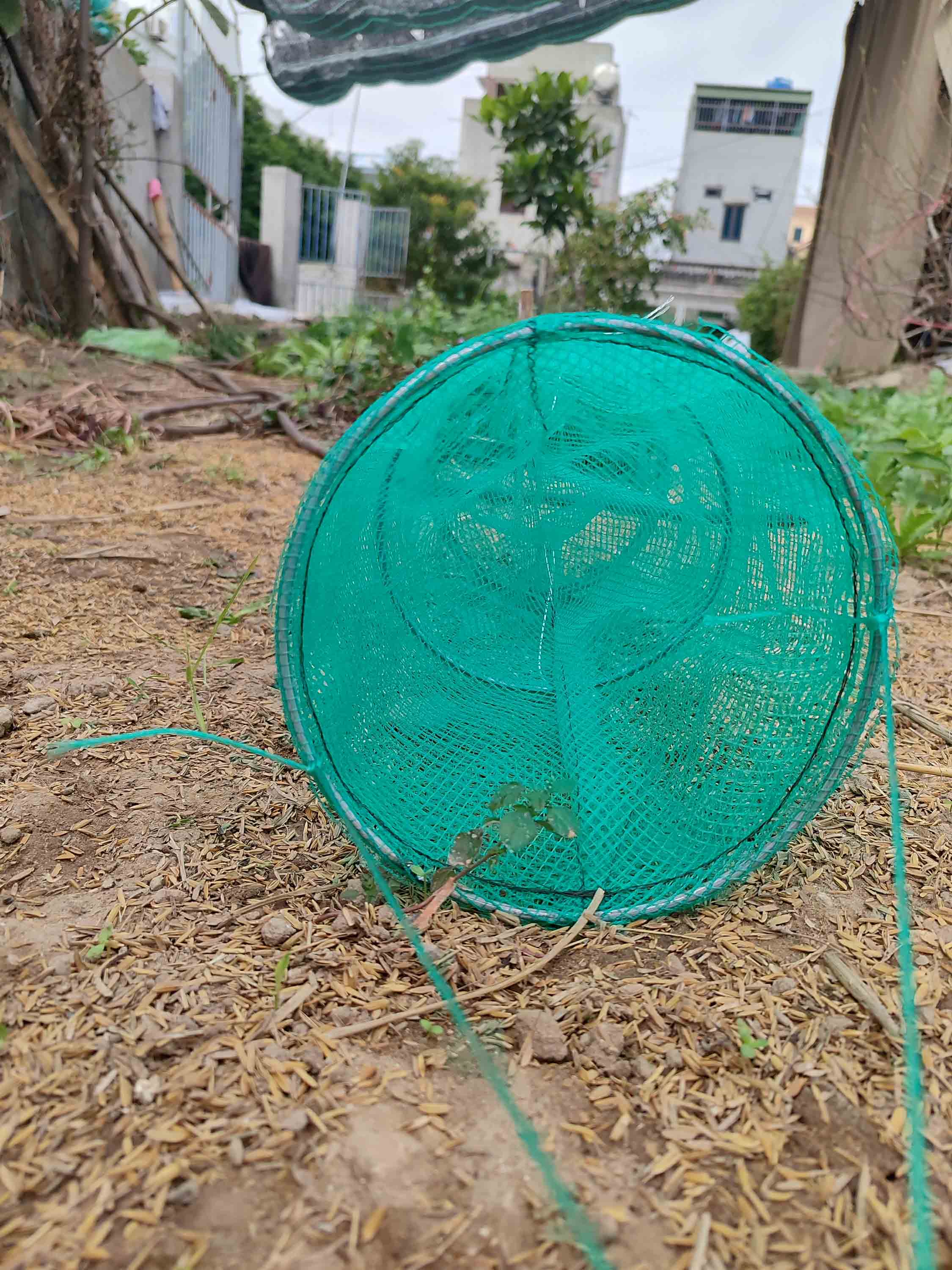 lợp đặt cá bống đa năng