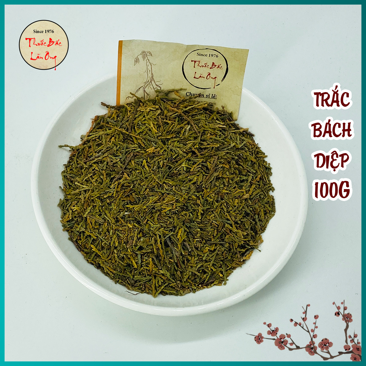 Trắc Bách Diệp 100g Hàng Loại 1, Tác Dụng Cầm Máu, An Thần, Nhuận Tràng