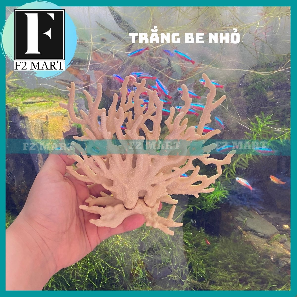 San hô trang trí bể cá cảnh, hồ cá cảnh siêu đẹp