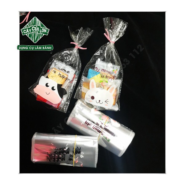 SET 100 TÚI KIẾNG KUTE