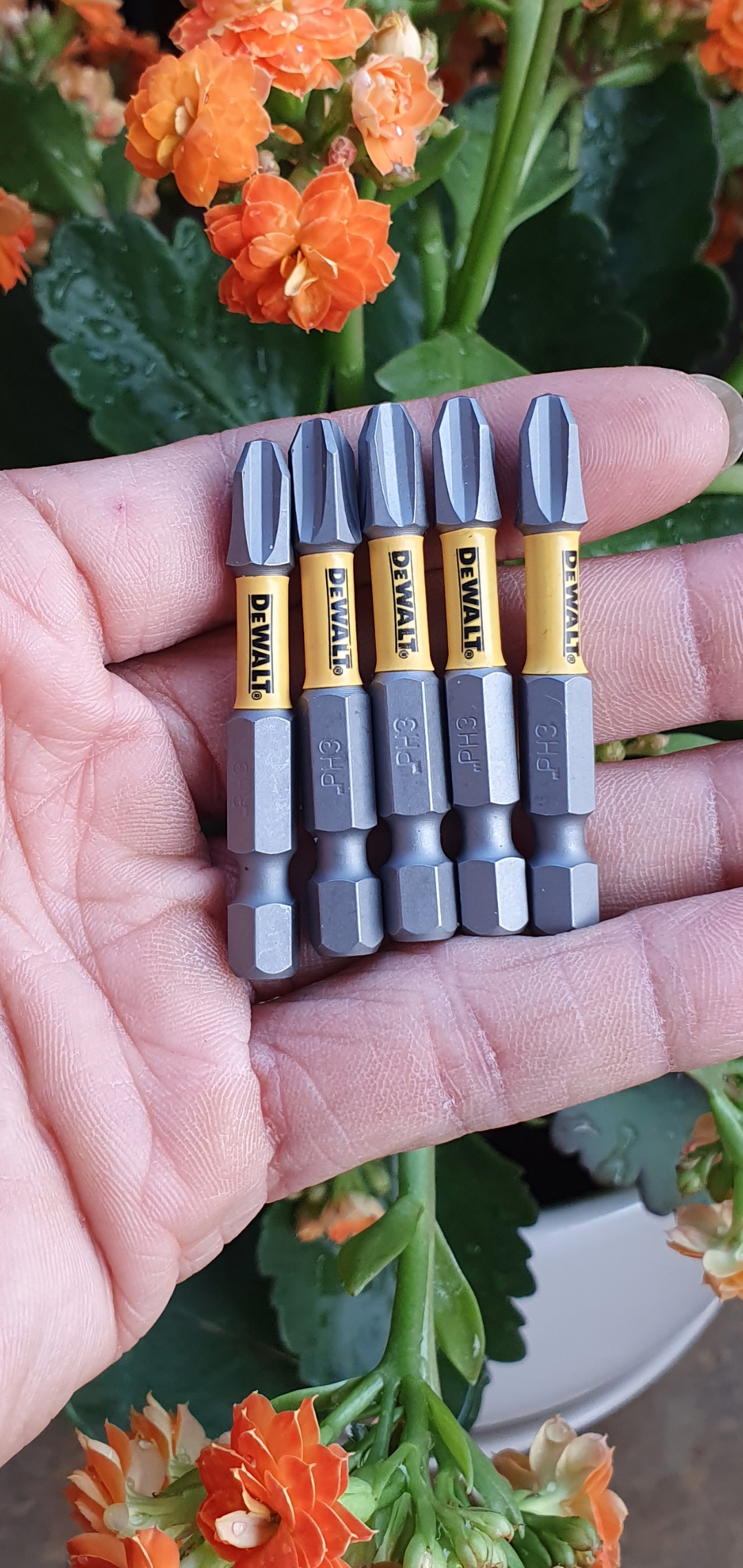 Mũi Vít Dewalt PH3 Dài 52mm