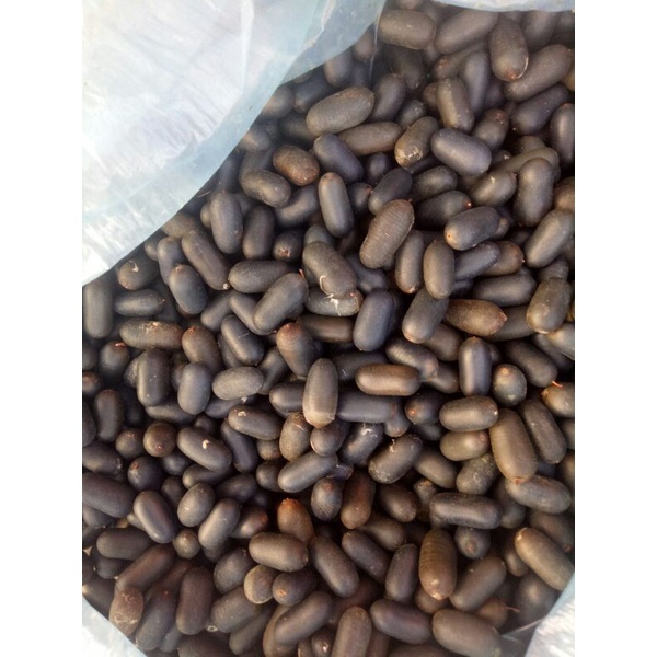 hạt đỗ rừng (đỗ mèo)220k/kg