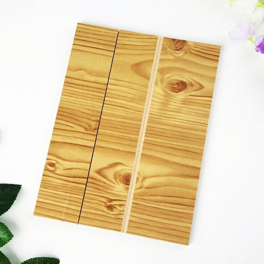 Kính phóng đại 3D màn hình điện thoại Cỡ lớn 12inch, Xem 3D tại nhà