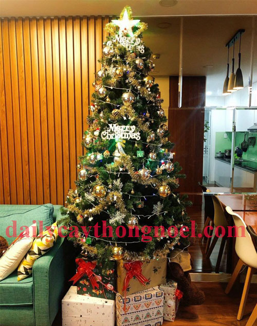 cây thông noel màu xanh 3m