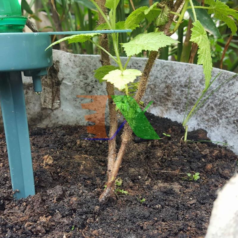 Set 20 Rod plug drip irrigation fitting up plastic bottle, watering device automatic drip, rod watering drip tree landscape