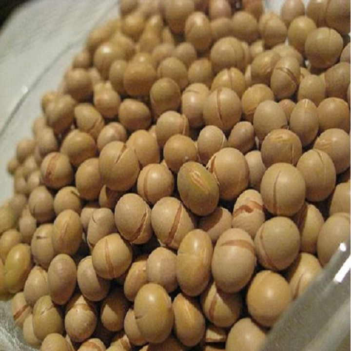 1KG ĐẬU NÀNH SẤY LOẠI GIÒN