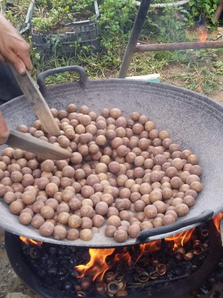 Macca Rang Củi
