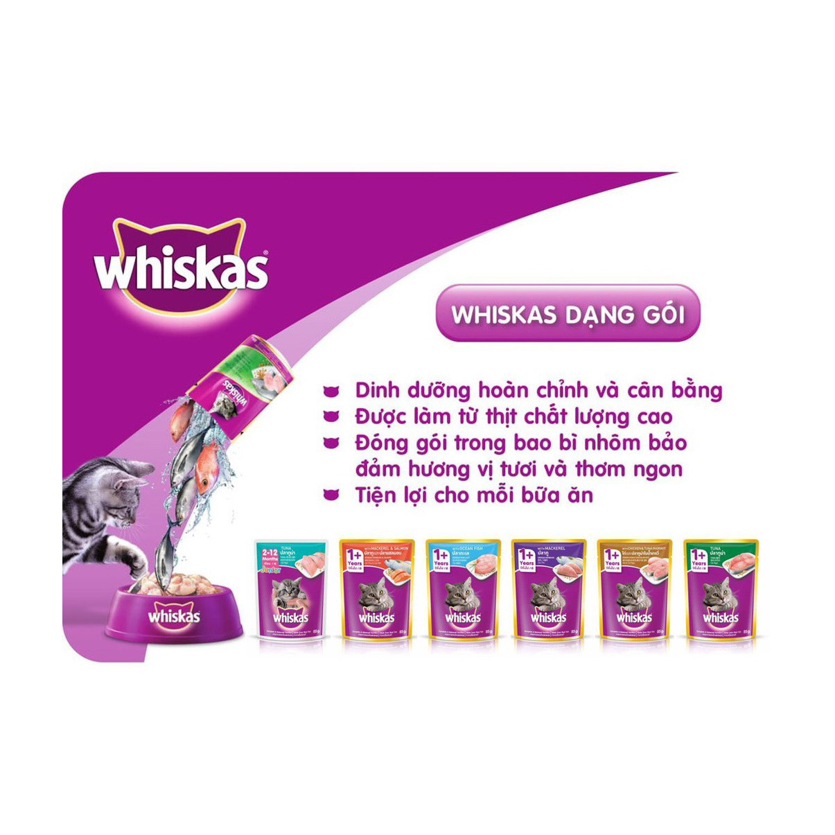 [Hoàn Tiền 10%] Pate Whiskas Junior - Pate dinh dưỡng cho mèo con