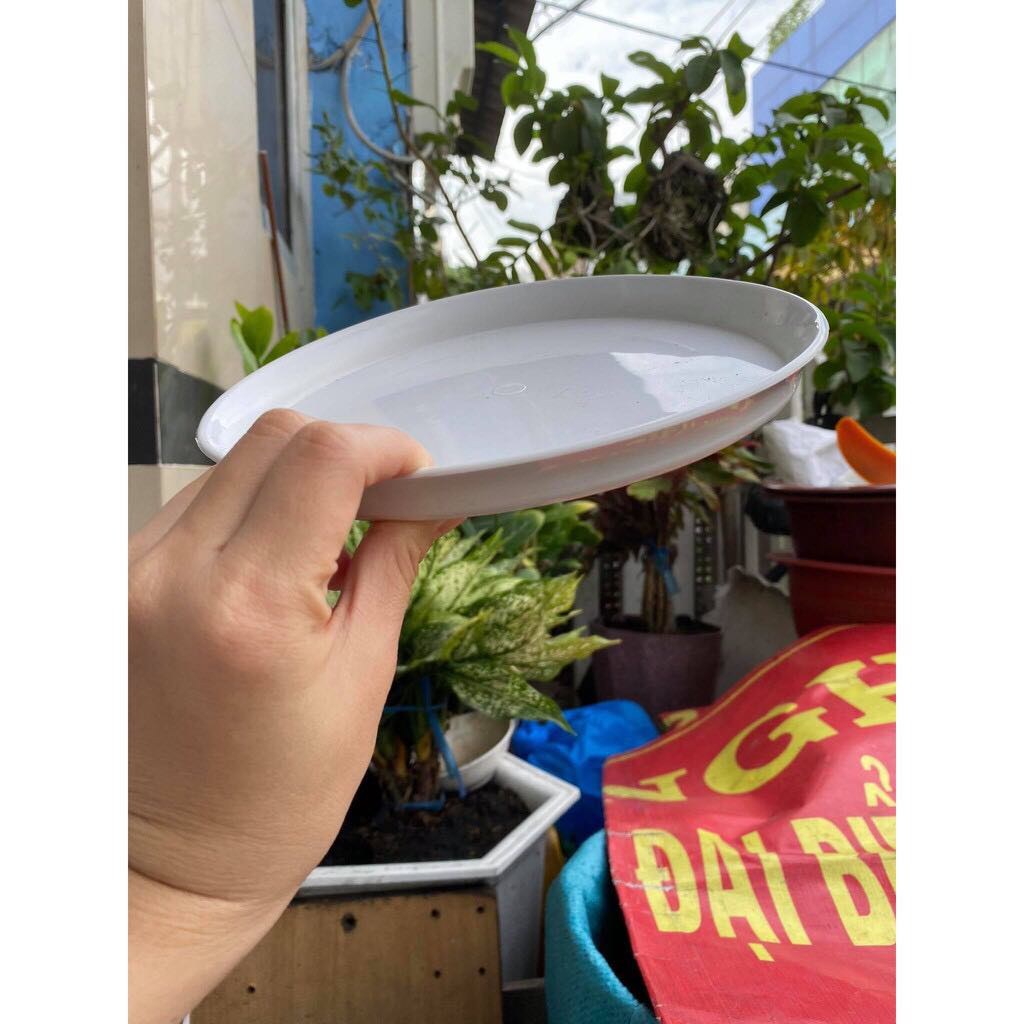 Chậu nhựa cao sọc gân có 2 size (có dĩa lót)