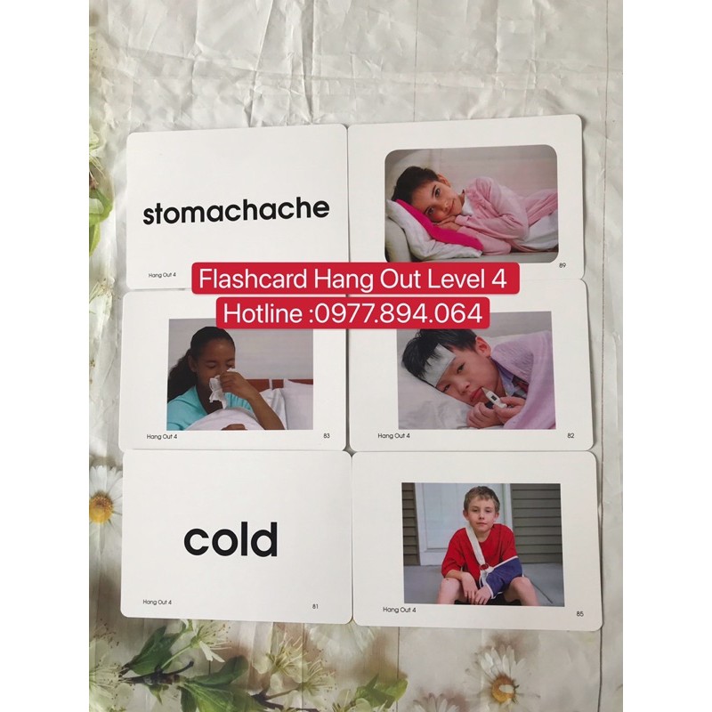 Flashcard Hang Out Level 4️144 thẻ size A5 siêu đẹp