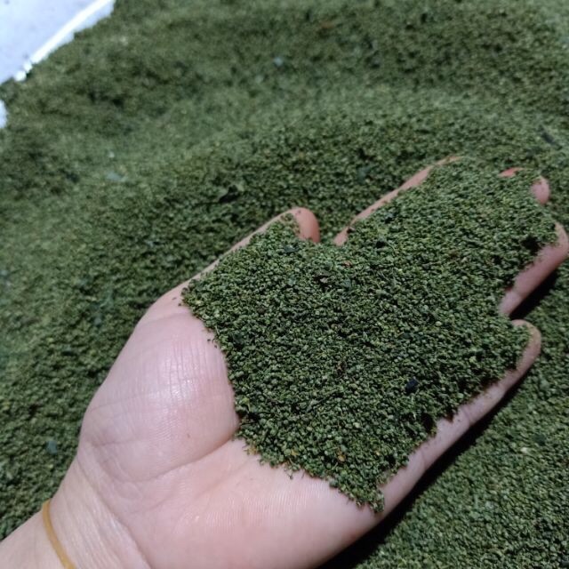Nụ hoa tam thất khô ( Dạng tấm 1kg)