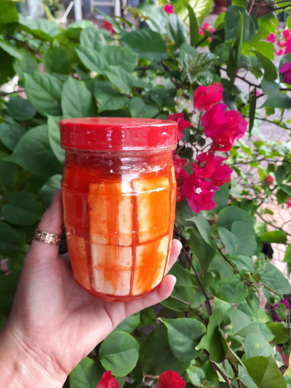 CHAO môn cốt dừa siêu béo hủ 700g