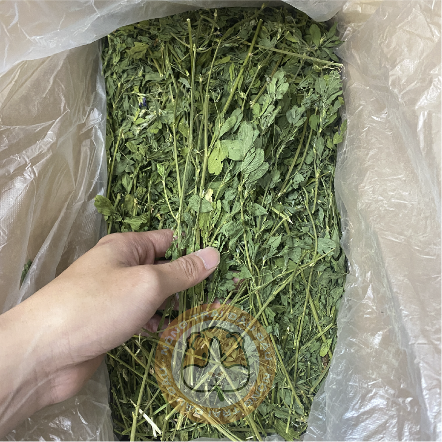 Cỏ alfalfa nguyên cành cho thỏ, bọ ú, chinchilla nhiều lá