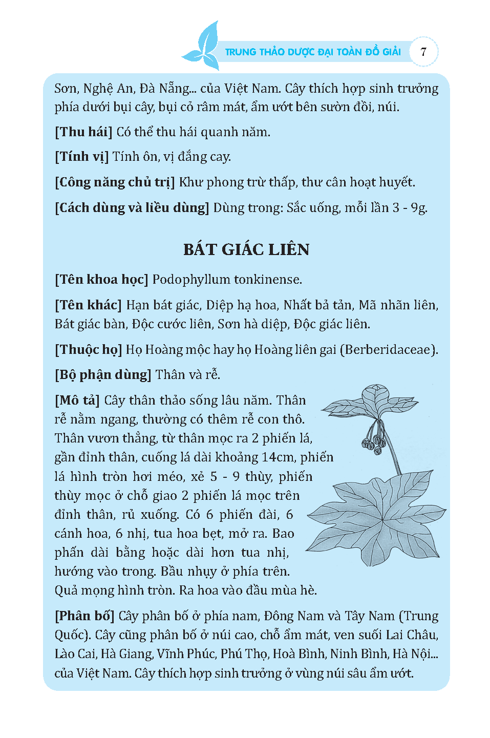 Trung thảo dược đại toàn (đồ giải)