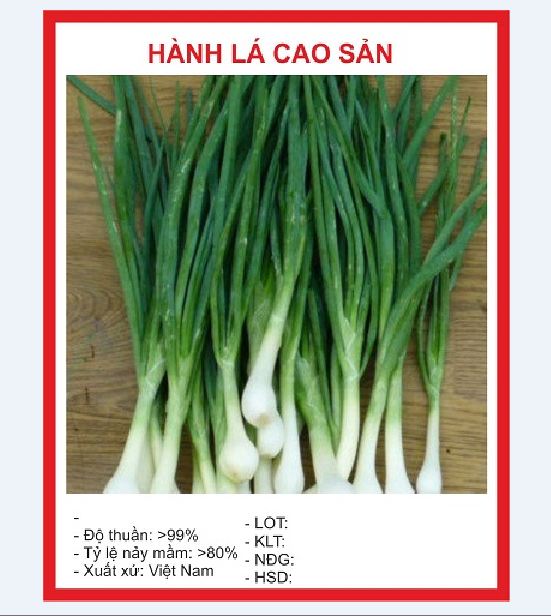 Combo 9 gói hạt giống rau thơm dễ trồng