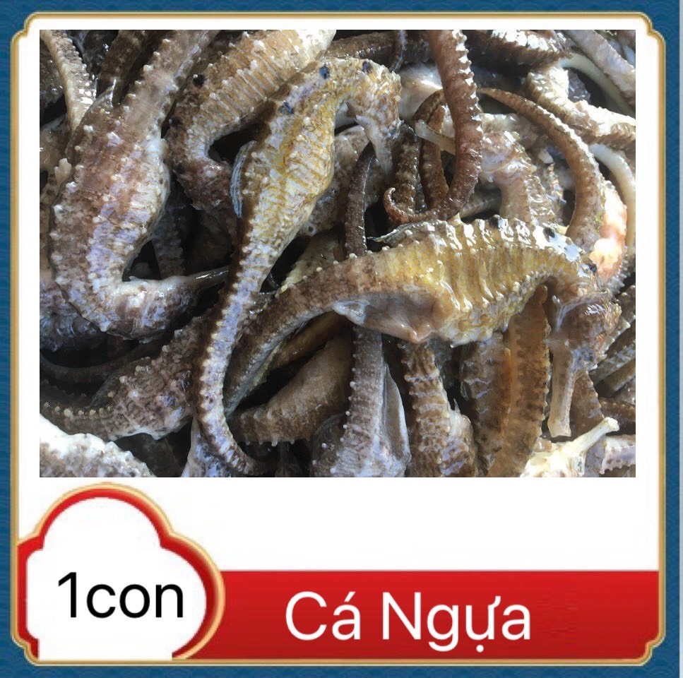 KHÔ CÁ NGỰA ( HẢI MÃ) SIZE TỨ 11cm - 12cm