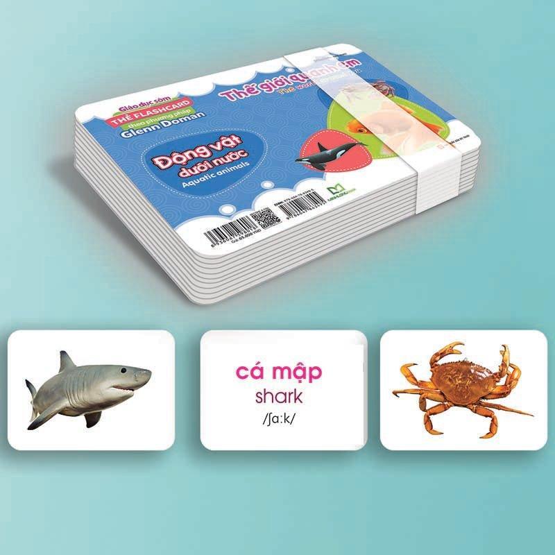 Mua Sách hay - Thế giới quanh em - Động vật dưới nước
