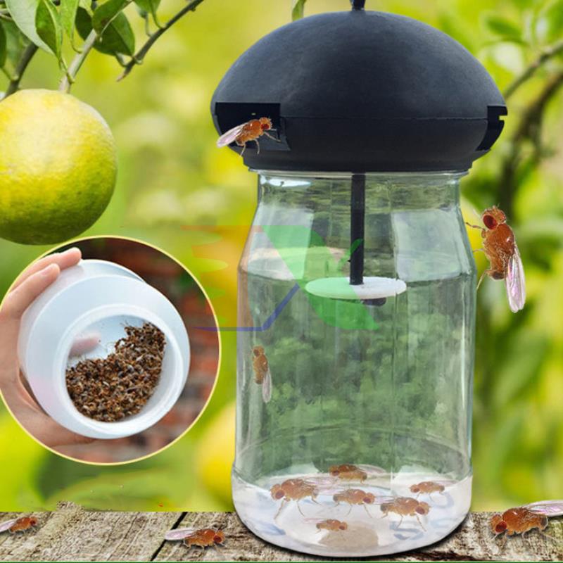 Combo 4 solution vial lure br-th, conductor example bee fly, vinegar, insect đục left