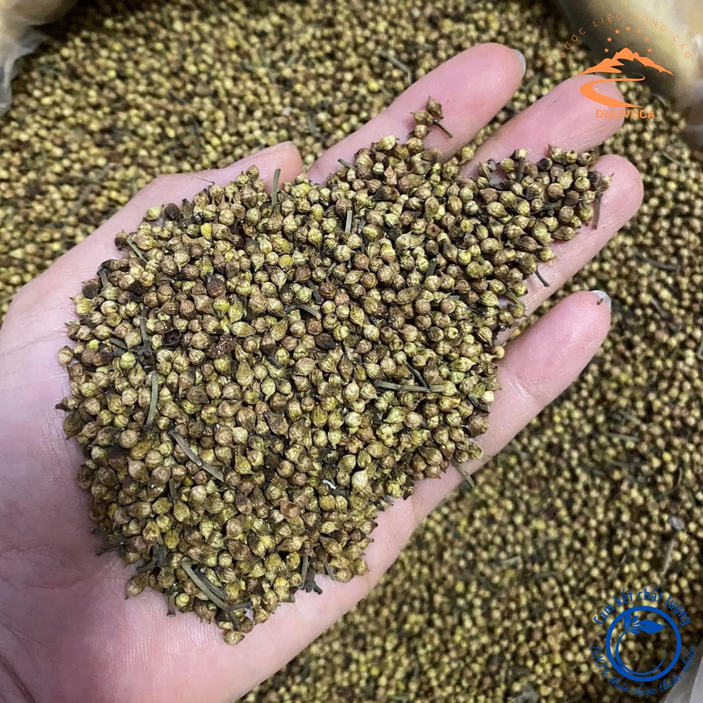 Nụ vối khô nguyên chất loại 1 sạch, thơm. Trà nụ vối nếp Bắc Ninh giúp bình ổn huyết áp, giảm mỡ máu, hỗ trợ tiểu đường
