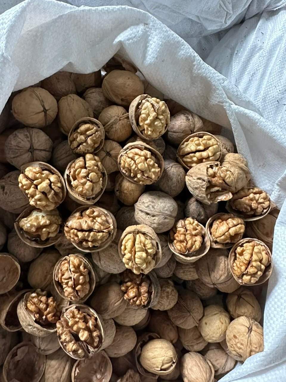 500g quả óc chó nguyên vỏ, hạt óc chó nguyên vỏ , óc chó sấy khô thơm ngon chất lượng,khothoaison