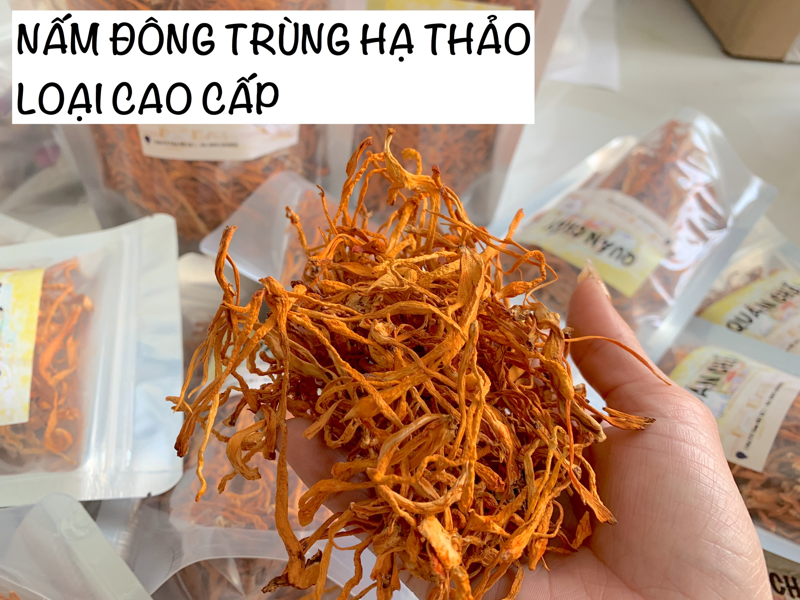 [HCM]BÔNG ĐÔNG TRÙNG HẠ THẢO SẤY KHÔ LOẠI CAO CẤP BAO NGON 50GRAM- NẤM ĐÔNG TRÙNG HẠ THẠO SẤY KHÔ LOẠI CAO CẤP BAO NGON
