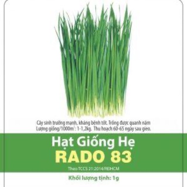 Hạt giống hẹ rado 83