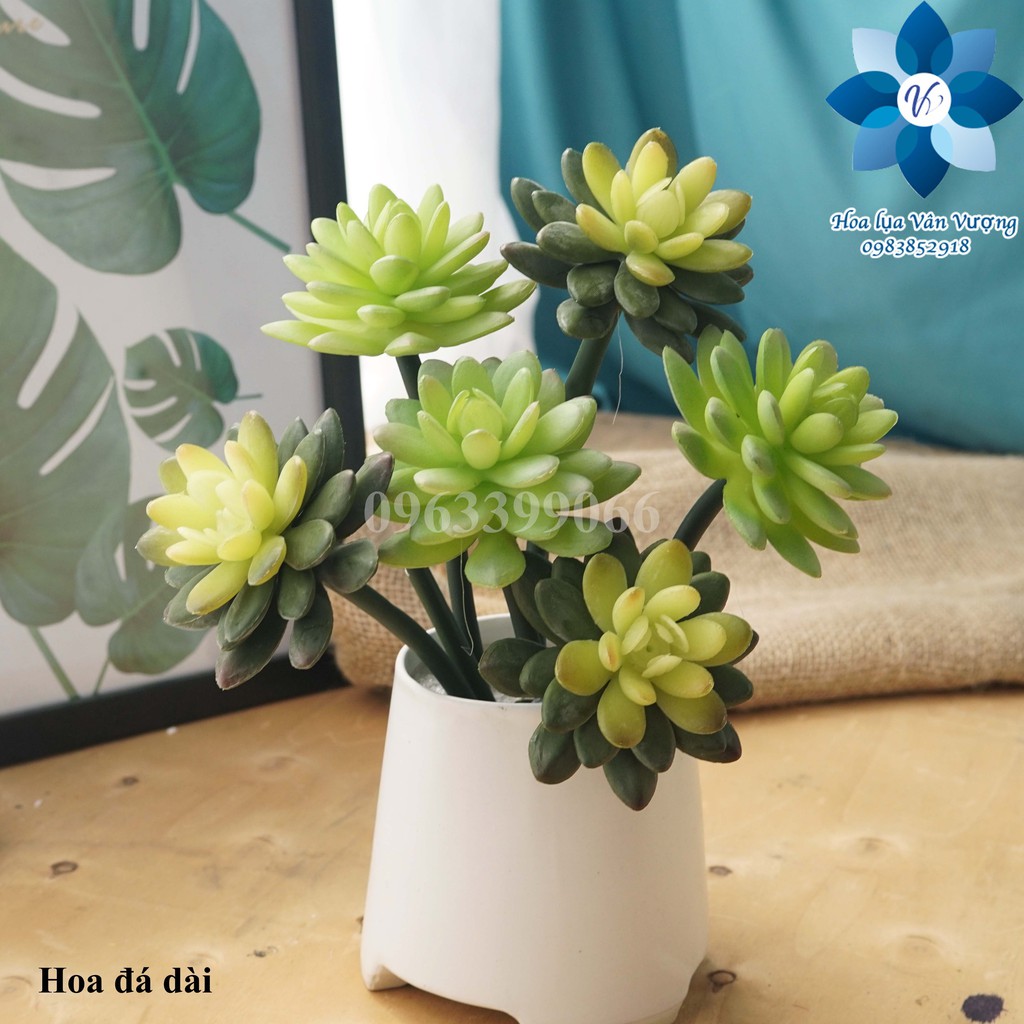 Hoa Đá Giả, Hoa Sen Đá Giả Cành Dài