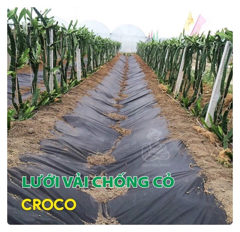 Lưới vải chống cỏ CROCO - Cuộn dài 50m