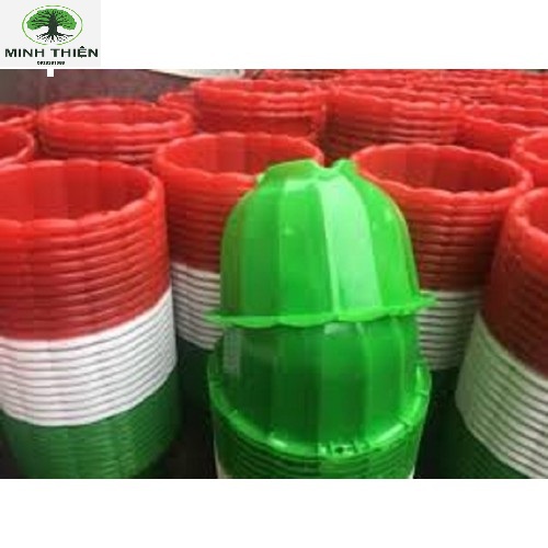 [HCM]Combo 5 Chậu Treo Bí Treo 22cm*15cm ( Màu Ngẩu Nhiên)