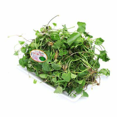 Rau má khô 1kg
