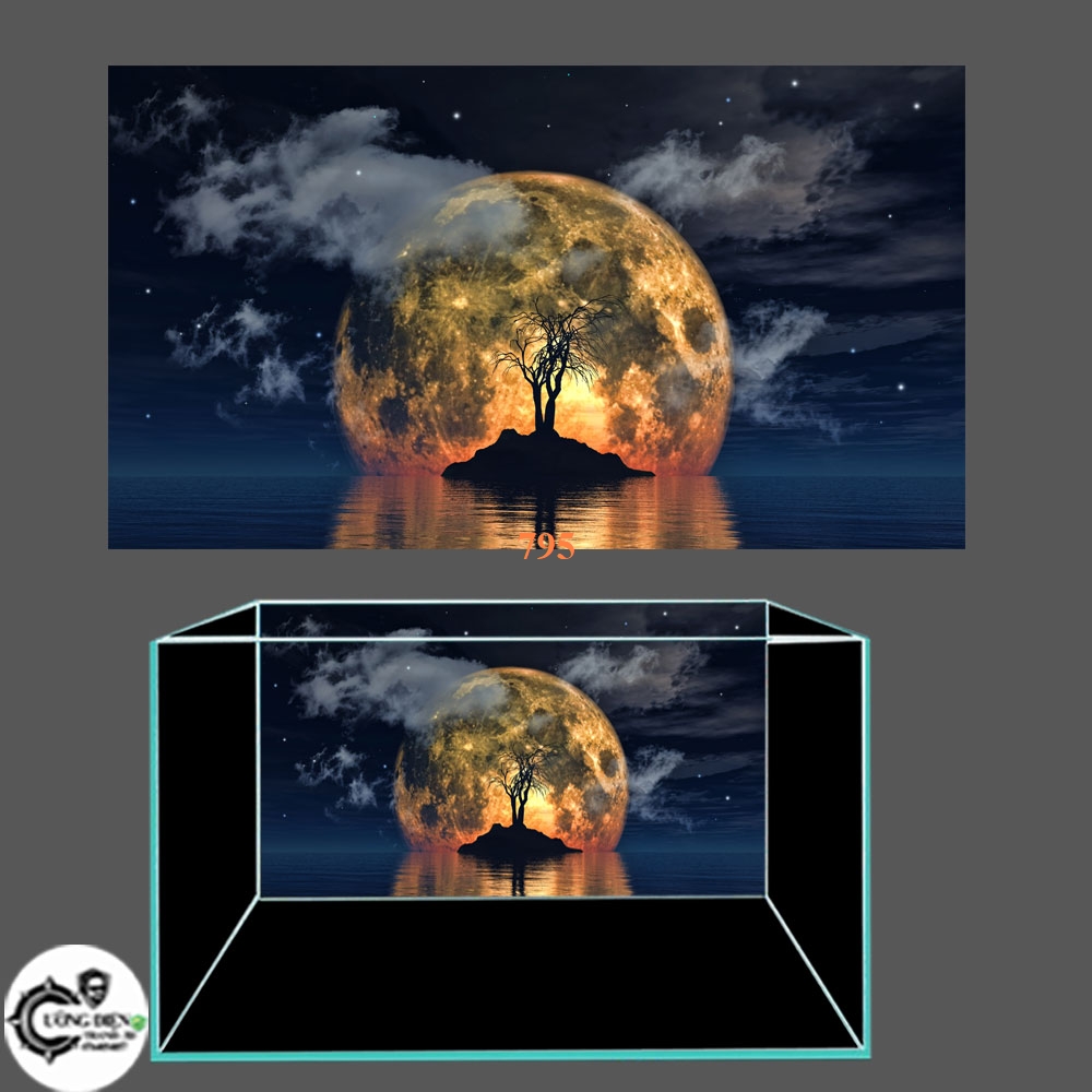 [Tặng Đồ Dán+Sticker] tranh 3d bể cá