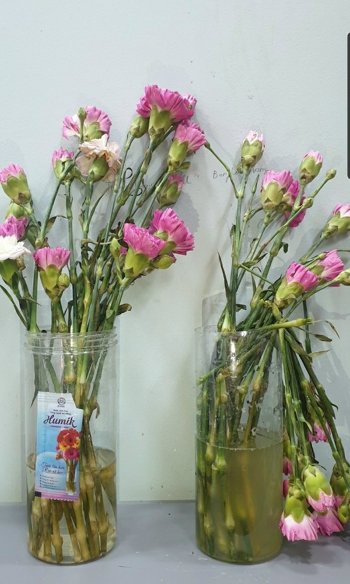 Nước Dưỡng Hoa Humik Túi 10 gói 5ml.