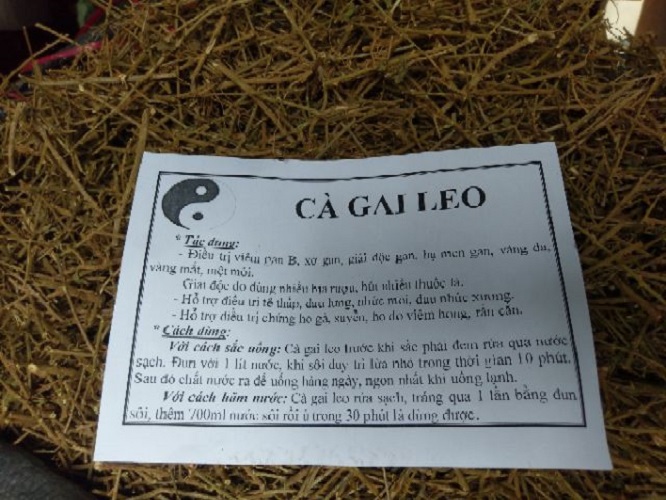Cà gai leo khô đóng túi 1kg