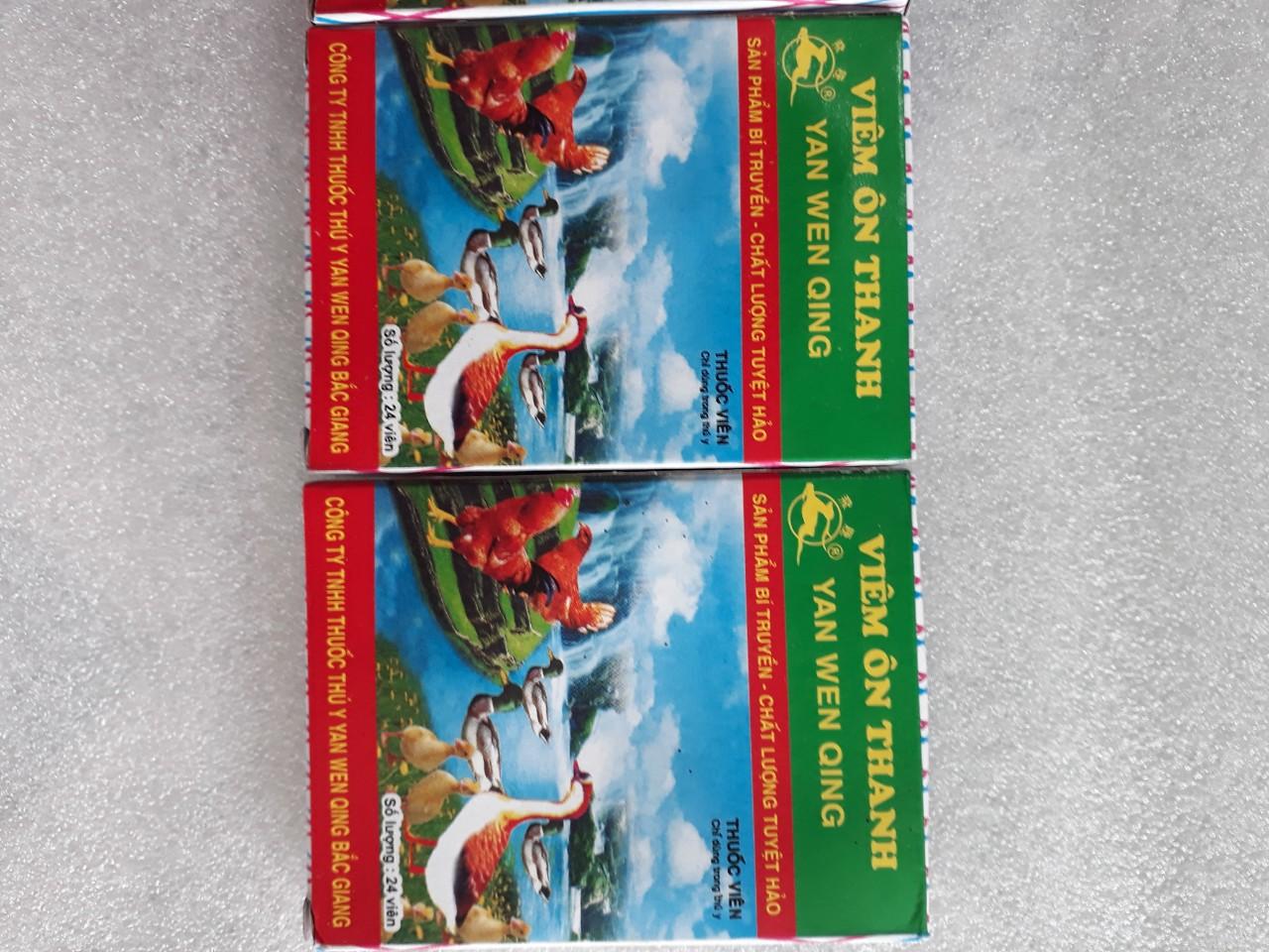 VIÊM ÔN THANH ( VỈ 24 VIÊN)