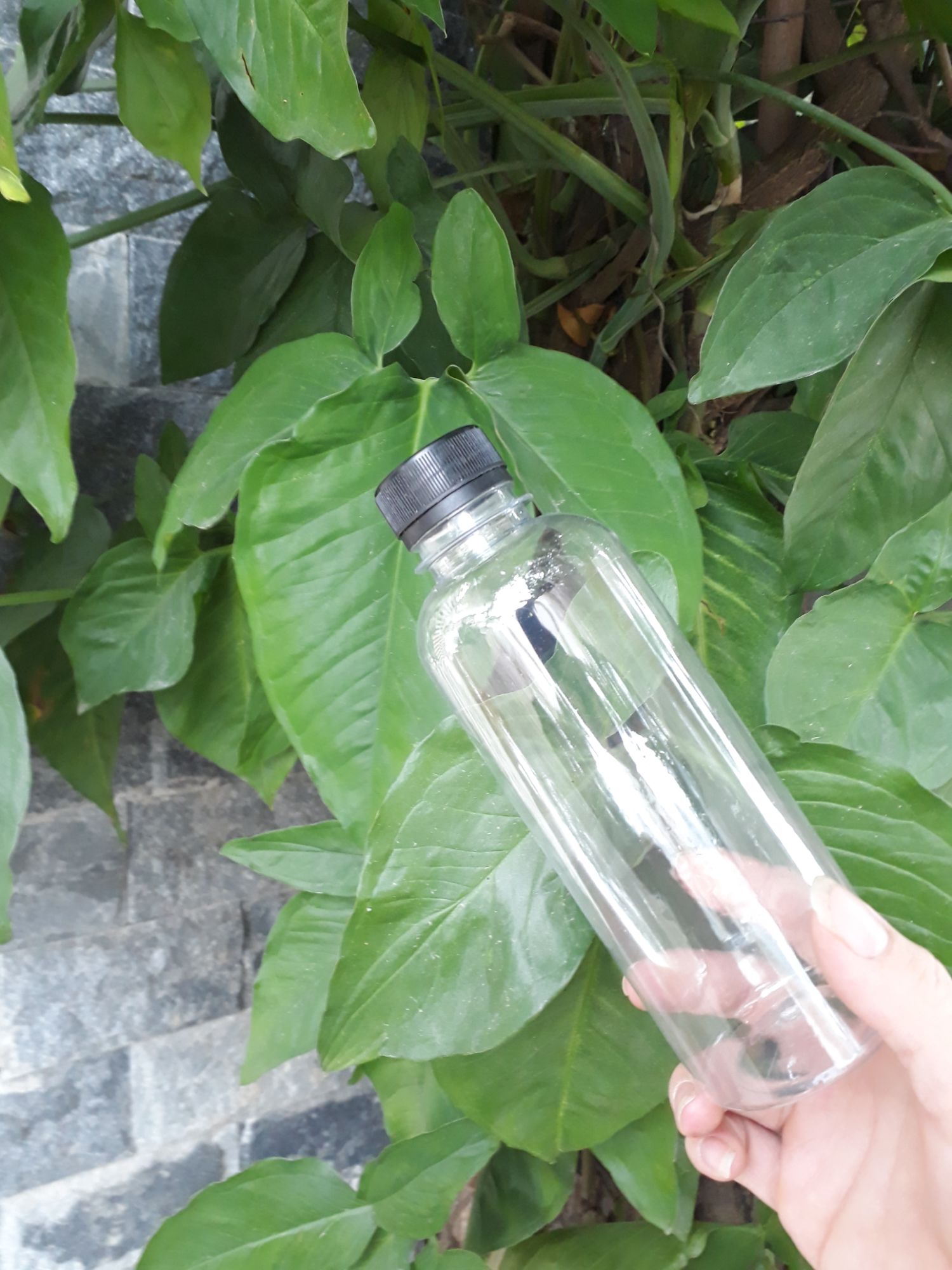 set 10 Chai nhựa tròn miệng vừa 330ml