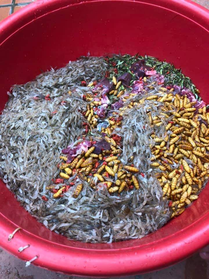 CÁM CHIM TỔNG HỢP  ( gói 500gr)
