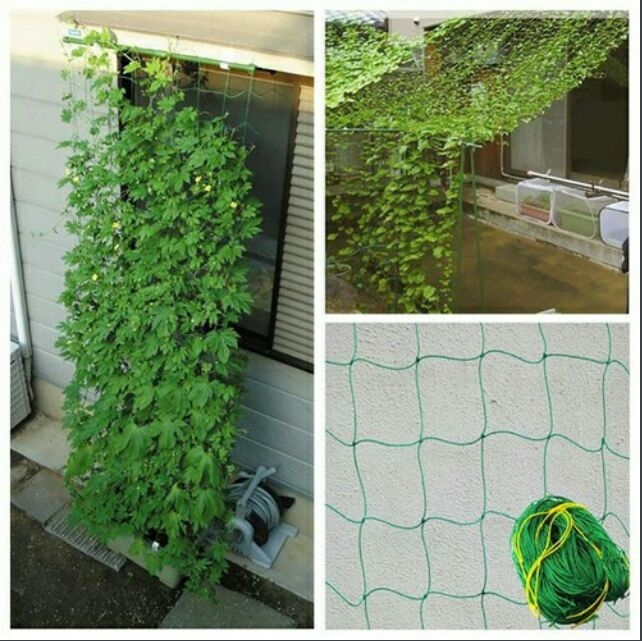 Lưới giàn leo , lưới giàn cây, lưới trồng cây leo ( kích thước 3m x 5m)