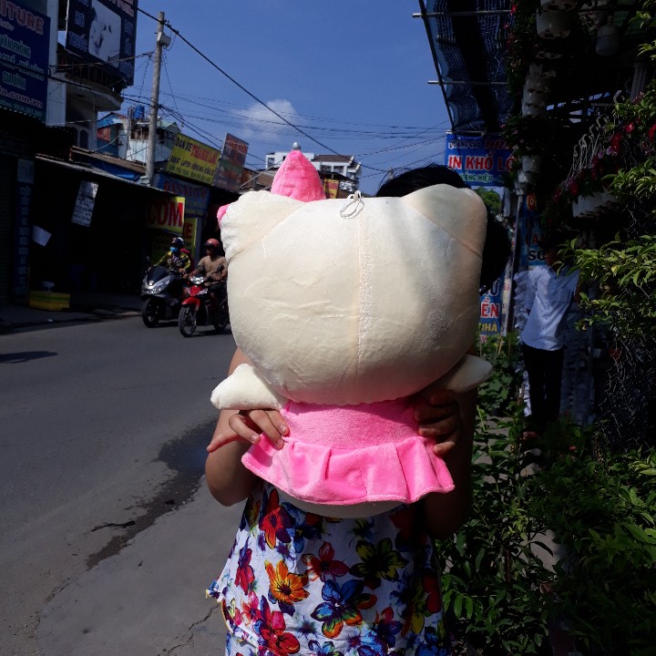 [HCM]MÈO KITTY NHỒI BÔNG 45CM