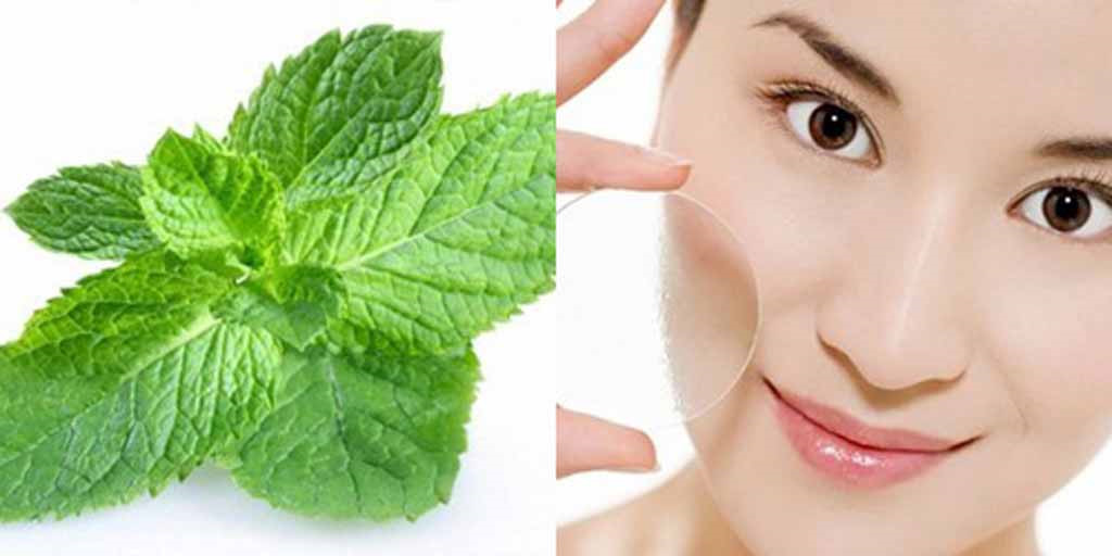 Bột đắp mặt nạ Dẽo bạc hà colagen mờ vết thâm