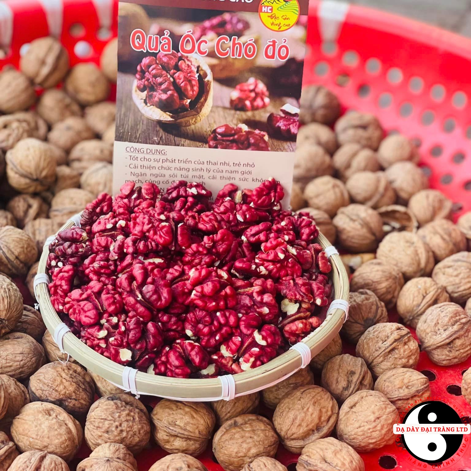 Hạt óc chó đỏ Mỹ nguyên vỏ, hạt óc chó hữu cơ nhập khẩu loại 1 chưa tách vỏ làm sữa hạt dinh dưỡng cơ thể mỗi ngày